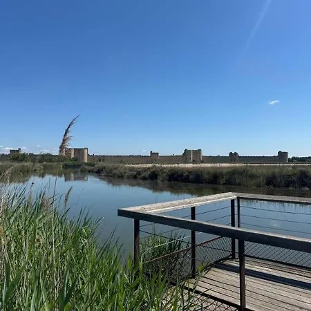 La Perle Rose Standing 5 Etoiles Avec Piscine Jacuzzi Et Superbe Vue Вилла
